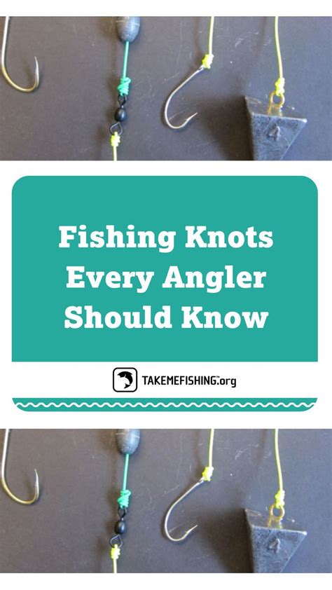 Best Fishing Knots & Lures for All Levels .